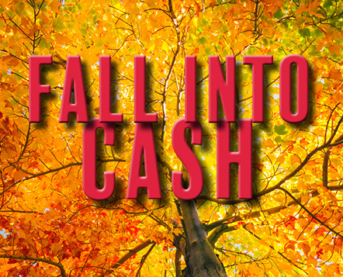 Fall into Cash